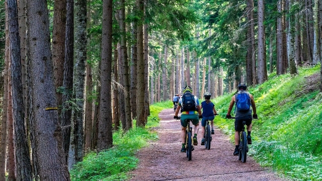  Tours en bicicleta de montaña